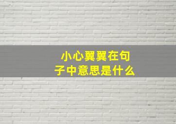 小心翼翼在句子中意思是什么