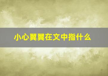 小心翼翼在文中指什么