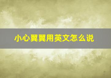 小心翼翼用英文怎么说