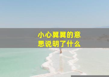 小心翼翼的意思说明了什么