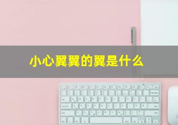 小心翼翼的翼是什么