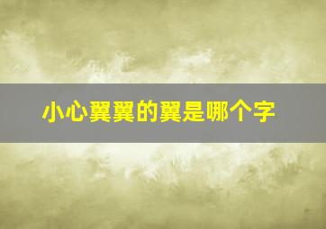 小心翼翼的翼是哪个字