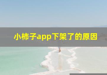 小柿子app下架了的原因