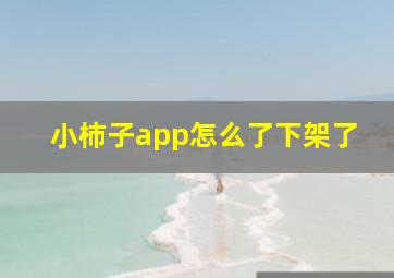 小柿子app怎么了下架了