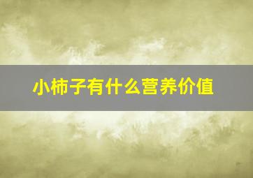 小柿子有什么营养价值