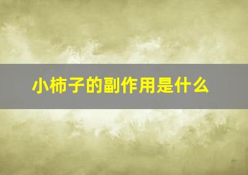 小柿子的副作用是什么