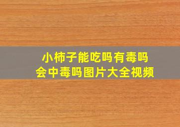 小柿子能吃吗有毒吗会中毒吗图片大全视频