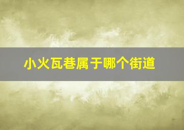 小火瓦巷属于哪个街道