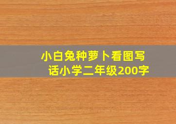 小白兔种萝卜看图写话小学二年级200字