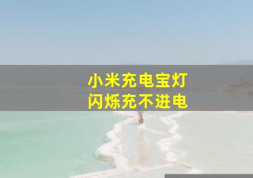 小米充电宝灯闪烁充不进电