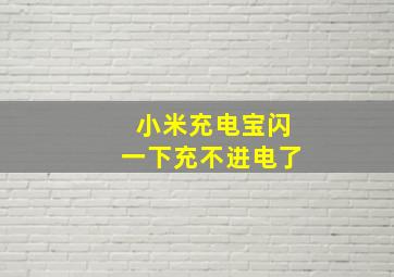 小米充电宝闪一下充不进电了