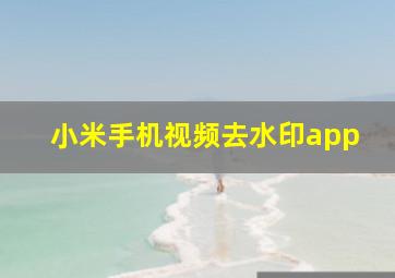 小米手机视频去水印app