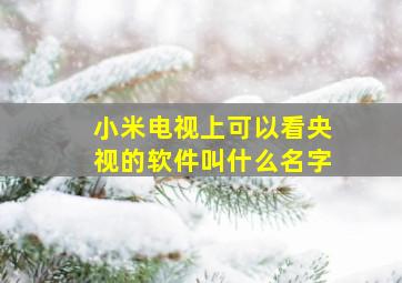 小米电视上可以看央视的软件叫什么名字