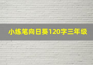 小练笔向日葵120字三年级