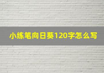 小练笔向日葵120字怎么写