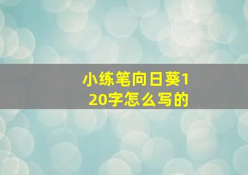 小练笔向日葵120字怎么写的