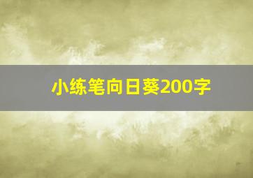 小练笔向日葵200字