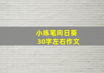 小练笔向日葵30字左右作文