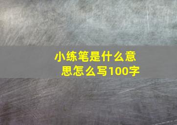 小练笔是什么意思怎么写100字