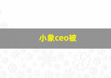 小象ceo被