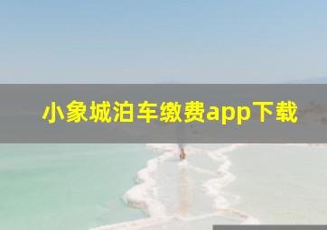 小象城泊车缴费app下载