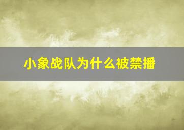 小象战队为什么被禁播