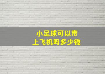 小足球可以带上飞机吗多少钱