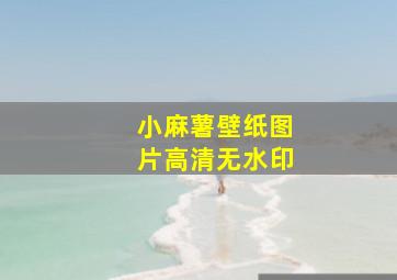 小麻薯壁纸图片高清无水印