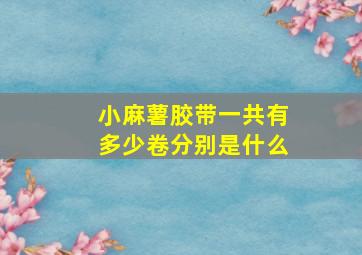 小麻薯胶带一共有多少卷分别是什么