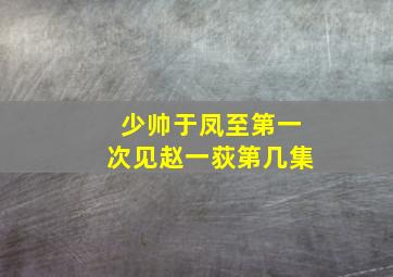 少帅于凤至第一次见赵一荻第几集