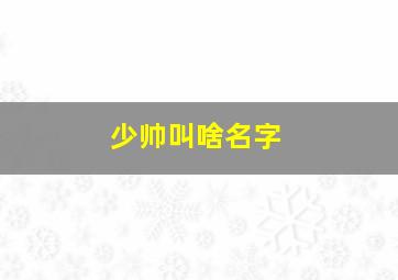 少帅叫啥名字