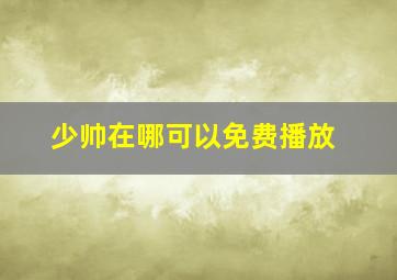 少帅在哪可以免费播放