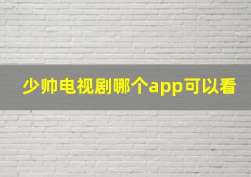 少帅电视剧哪个app可以看