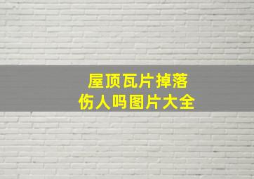 屋顶瓦片掉落伤人吗图片大全