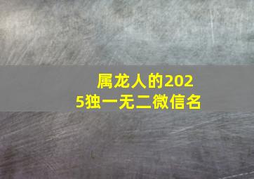 属龙人的2025独一无二微信名