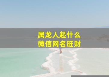 属龙人起什么微信网名旺财