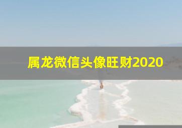 属龙微信头像旺财2020