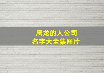 属龙的人公司名字大全集图片