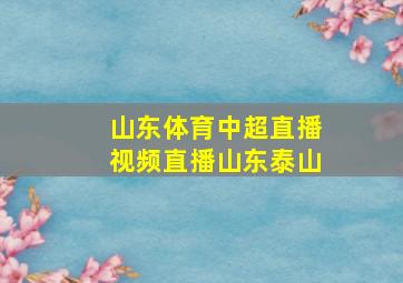 山东体育中超直播视频直播山东泰山