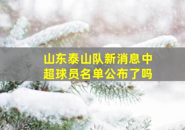 山东泰山队新消息中超球员名单公布了吗