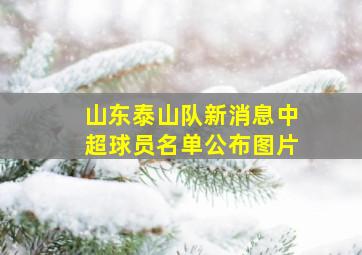 山东泰山队新消息中超球员名单公布图片