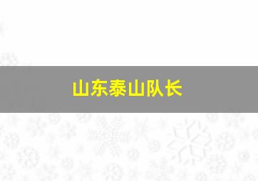 山东泰山队长