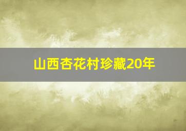 山西杏花村珍藏20年