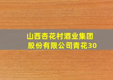 山西杏花村酒业集团股份有限公司青花30