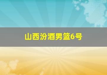 山西汾酒男篮6号