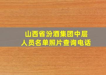 山西省汾酒集团中层人员名单照片查询电话