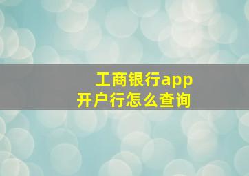 工商银行app开户行怎么查询