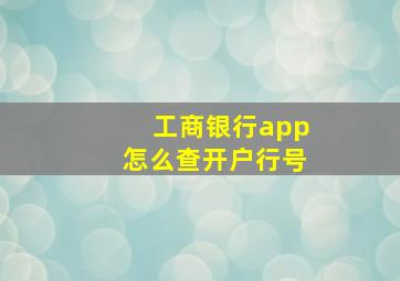 工商银行app怎么查开户行号