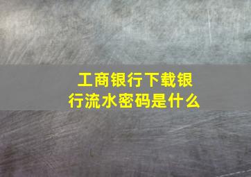 工商银行下载银行流水密码是什么