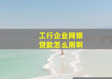 工行企业网银贷款怎么用啊